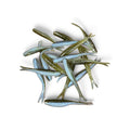2" MINNOW SLIM